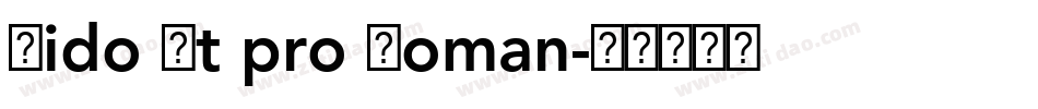 Dido Lt pro Roman字体转换